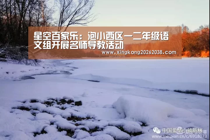 星空百家乐:泡小西区一二年级语文组开展名师导教活动(图4) 星空真人