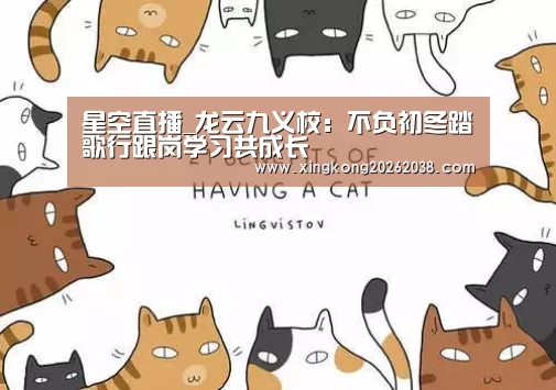 星空百家乐