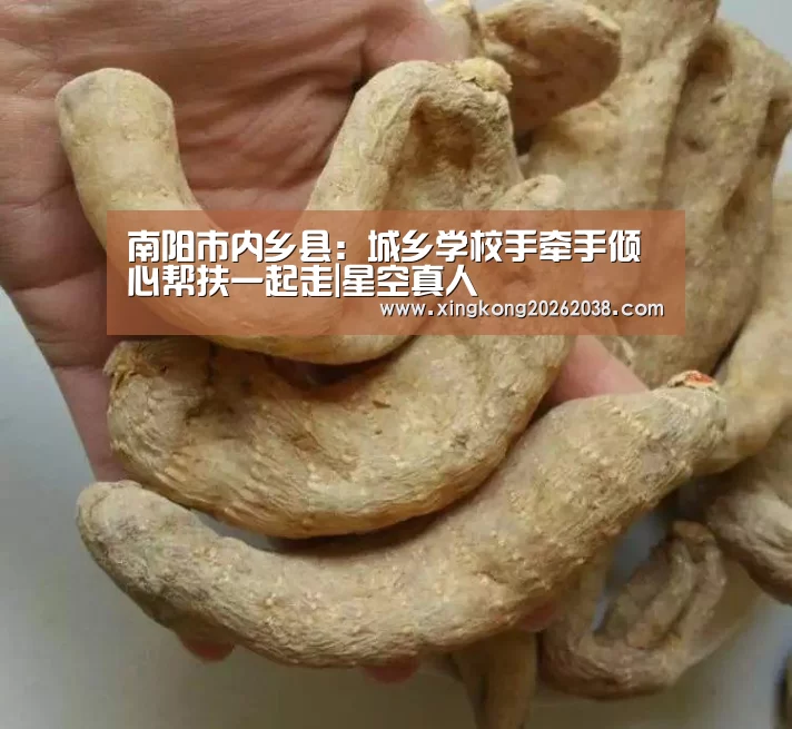 星空官网