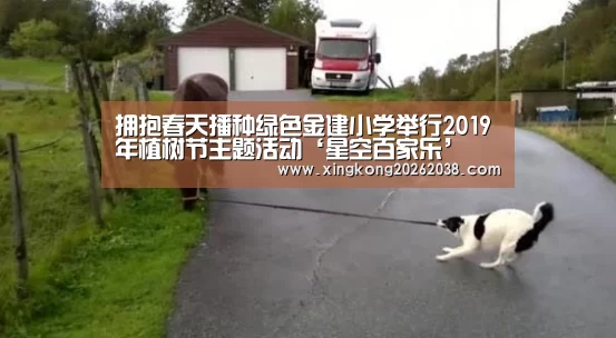 拥抱春天播种绿色金建小学举行2019年植树节主题活动‘星空百家乐’(图1) 星空直播