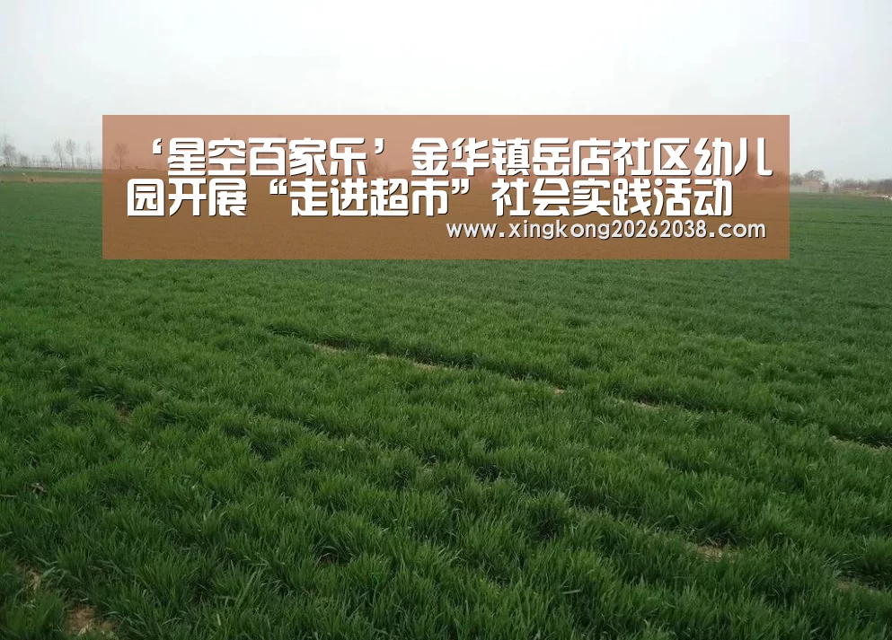 ‘星空百家乐’金华镇岳店社区幼儿园开展“走进超市”社会实践活动(图1) 星空直播