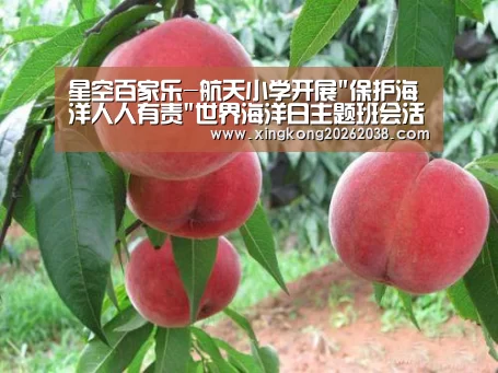 星空真人